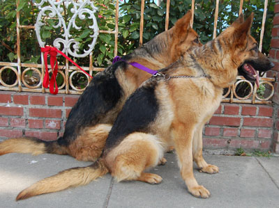 Elsa and Gretchen von Laax sitting 3